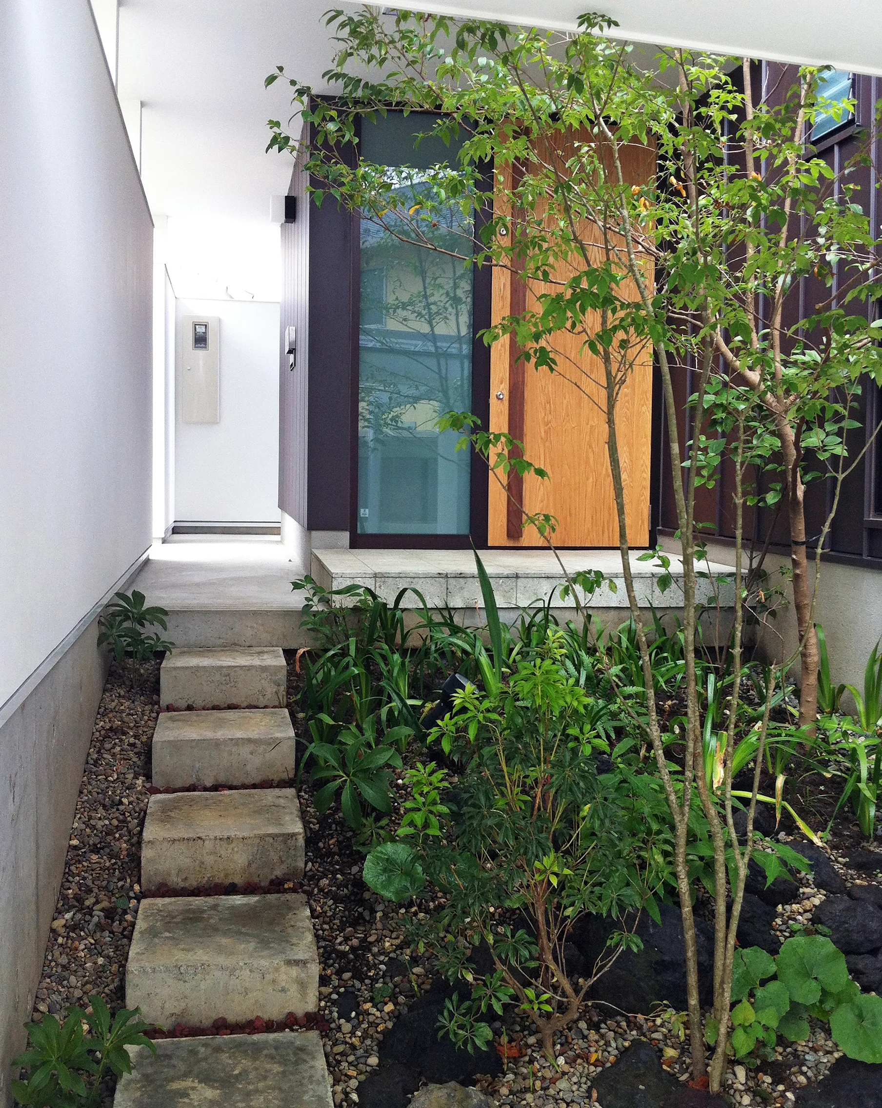 House T tamana