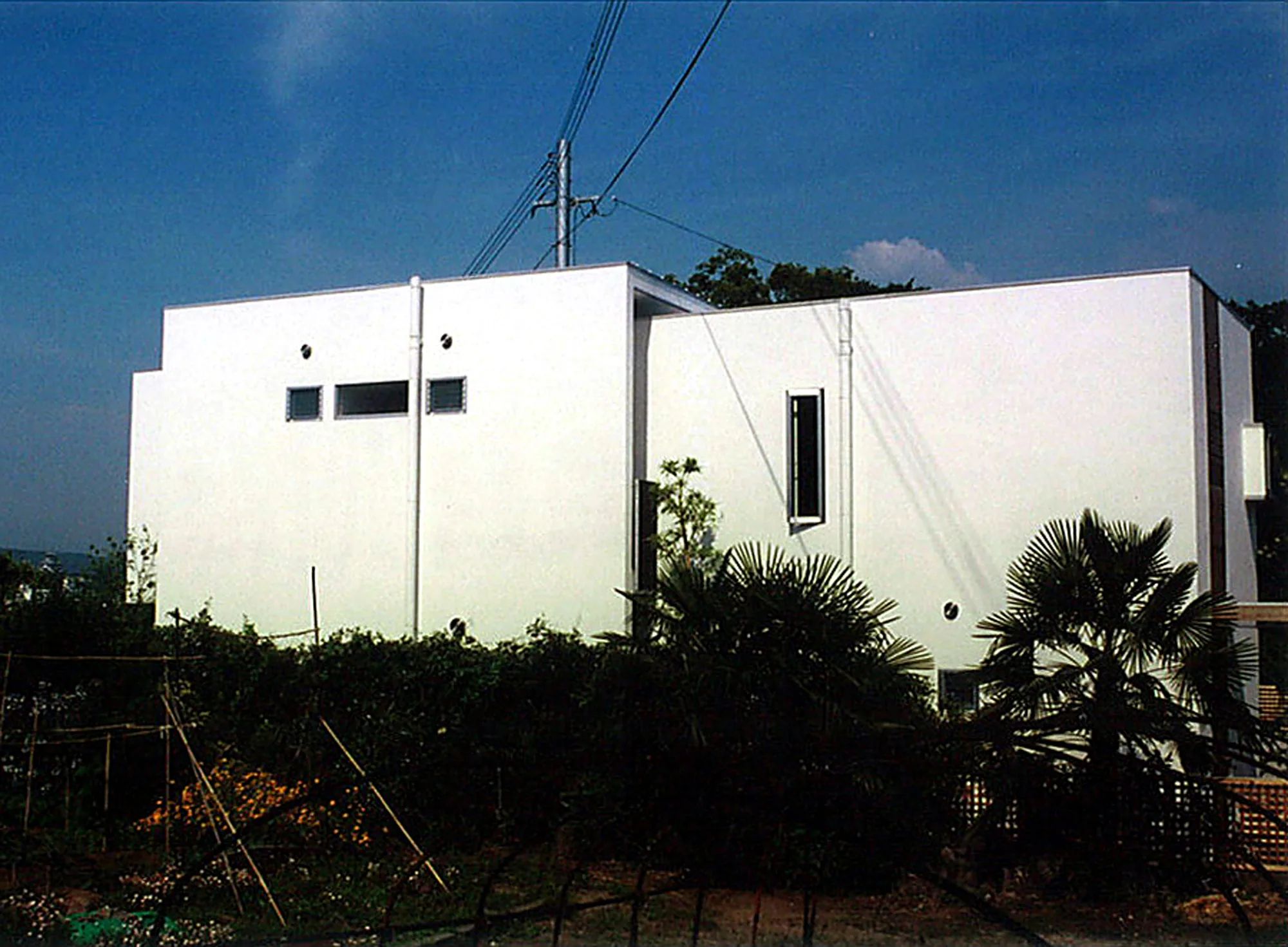 House Y yokote