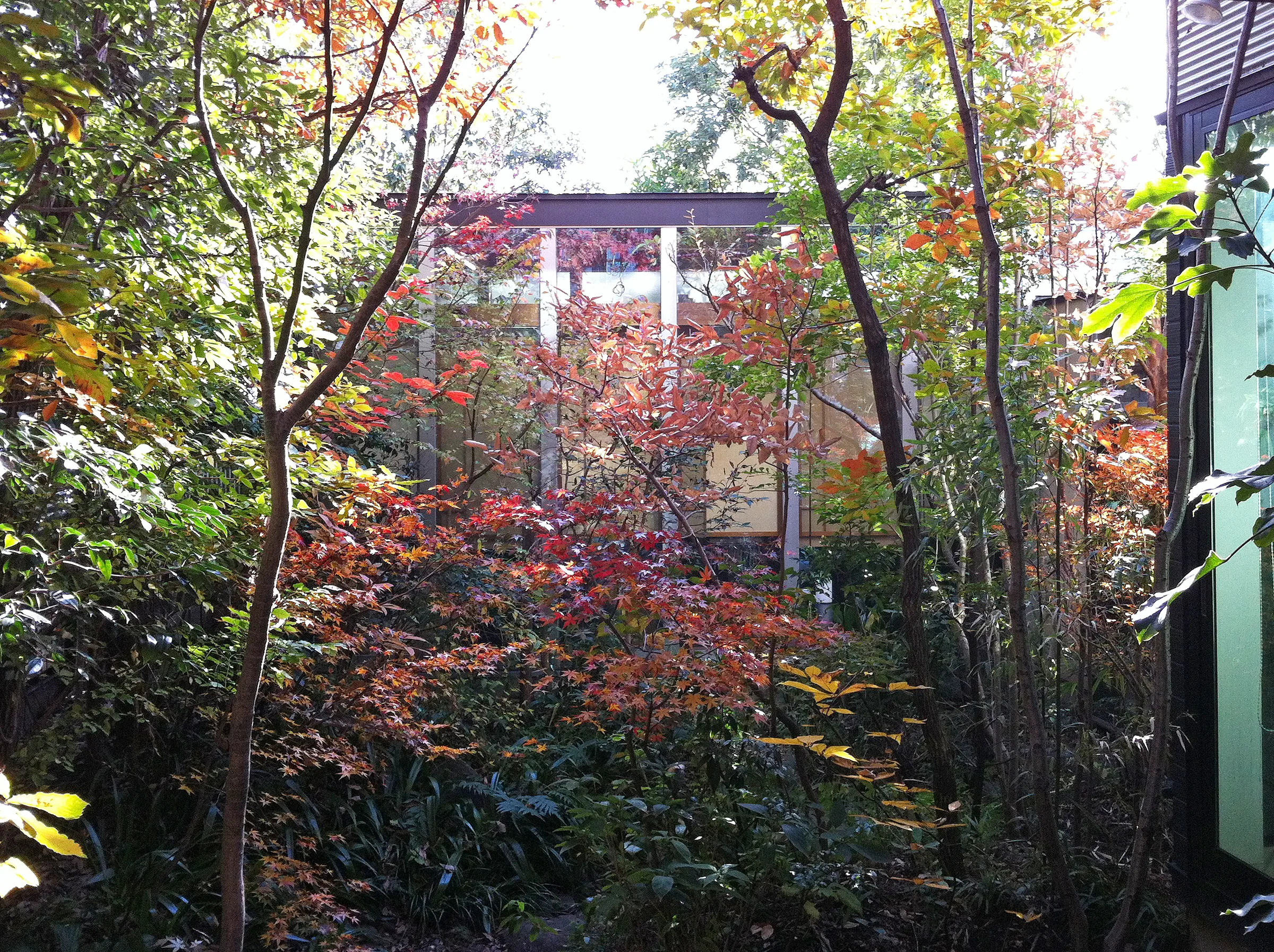House M hanatate