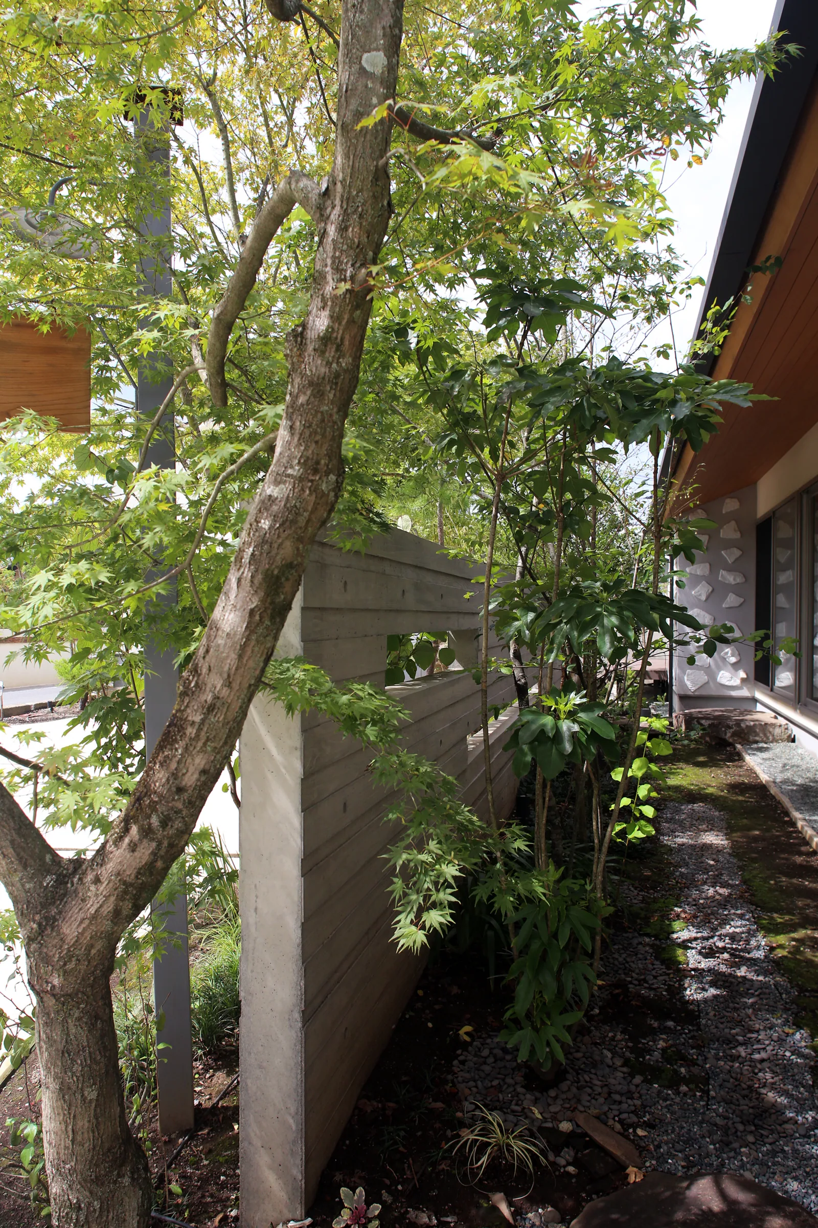 House T nuyamazu